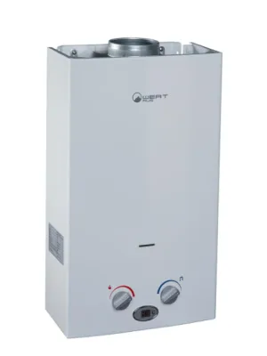 Газовый проточный водонагреватель Wertrus 10LC White